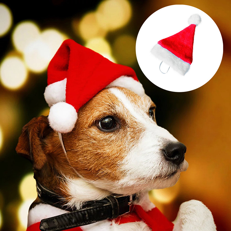 Cute Pet Christmas Hat Small Animals Cat Dog Santa Claus Hat New Year Xmas Home Party Pet Costume Decoration Supplies
Cute Pet Christmas Hat Small Animals Cat Dog Santa Claus Hat New Year Xmas Home Party Pet Costume Decoration Supplies