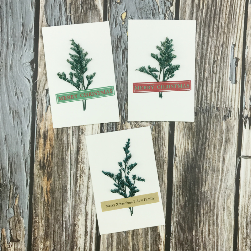 1pc Handwritten White Blank Merry Christmas Cards with Dried Christmas Tree Greeting Card Postcard
1pc Handwritten White Blank Merry Christmas Cards with Dried Christmas Tree Greeting Card Postcard