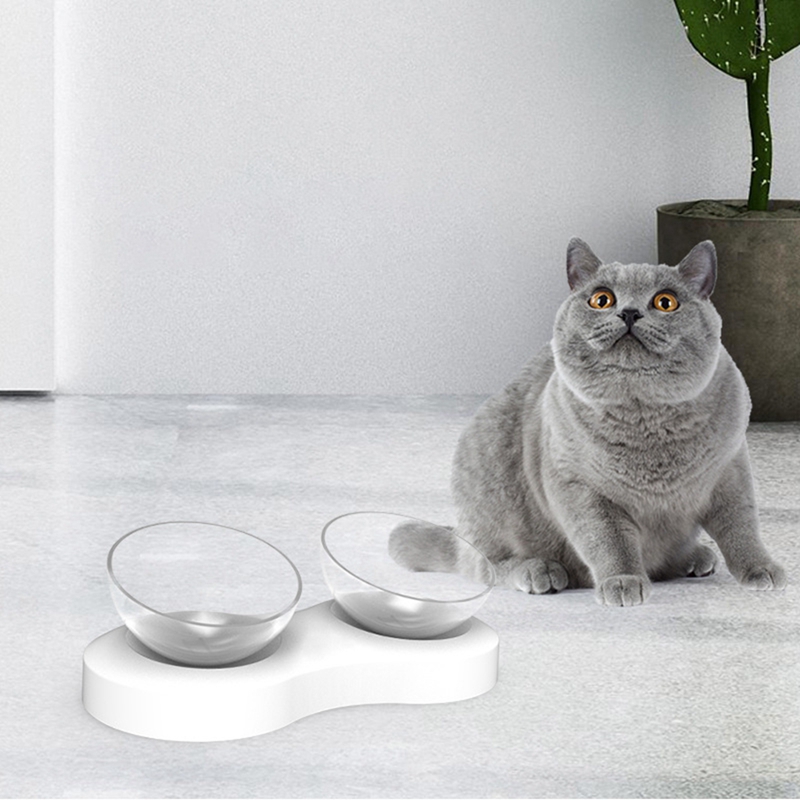 Pet Cats Transparent Bowl with Holder Anti-slip Cat Dish Pet Feeder Water Bowl Perfect For Cats Small Dogs Supplies
Pet Cats Transparent Bowl with Holder Anti-slip Cat Dish Pet Feeder Water Bowl Perfect For Cats Small Dogs Supplies
