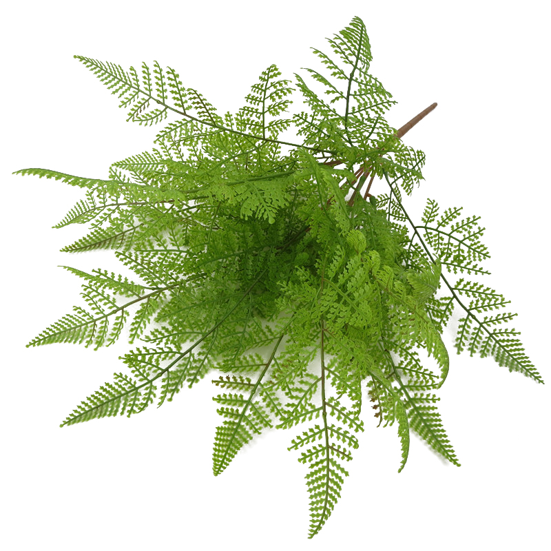 47cm Artificial Green Leaves Plants Simulation Persian Grass Plactic Fake Leaves for Home Garden Decoration Office Desk Ornament, A1
47cm Artificial Green Leaves Plants Simulation Persian Grass Plactic Fake Leaves for Home Garden Decoration Office Desk Ornament, A1