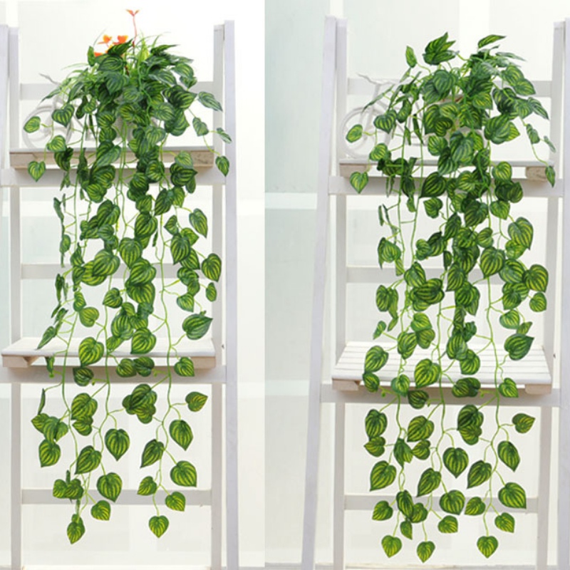 Family Green Plant Decoration Parthenocissus Tricuspidata /Begonia /Green Currant /Watermelon Leaf Wall Hanging Eye Protection
Family Green Plant Decoration Parthenocissus Tricuspidata /Begonia /Green Currant /Watermelon Leaf Wall Hanging Eye Protection