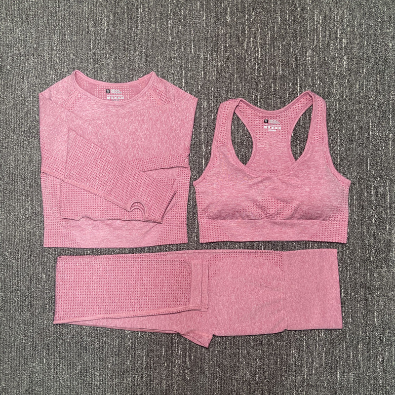 Women Seamless Yoga Set Fitness Sports Suits GYM Cloth Yoga Long Sleeve Shirts High Waist Running Leggings Workout Pants Bra, 06
Women Seamless Yoga Set Fitness Sports Suits GYM Cloth Yoga Long Sleeve Shirts High Waist Running Leggings Workout Pants Bra, 06