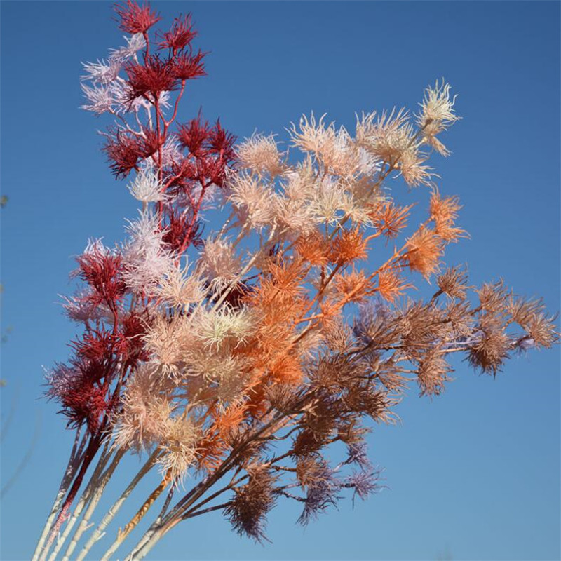 10Pcs Fake Long Stem Crabweed 37.4" Length Simulation Plastic Chrysanthemum for Wedding Home Decorative Artificial Flowers, Beige
10Pcs Fake Long Stem Crabweed 37.4" Length Simulation Plastic Chrysanthemum for Wedding Home Decorative Artificial Flowers, Beige