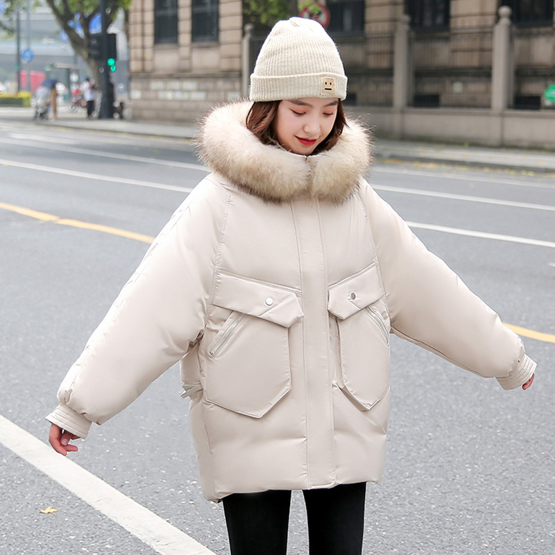 2020 New Winter Jacket Women Fashion Pockets Back Embroidery Short Hooded Parka Coat Female Casual Fur Collar Jacket, Beige
2020 New Winter Jacket Women Fashion Pockets Back Embroidery Short Hooded Parka Coat Female Casual Fur Collar Jacket, Beige