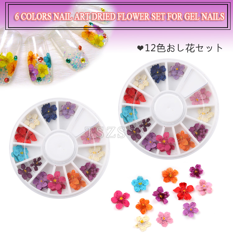1set /lot summer 12 color dried flower for DIY Manicure nail art decorations natural Floral nail dry flowers wheel
1set /lot summer 12 color dried flower for DIY Manicure nail art decorations natural Floral nail dry flowers wheel