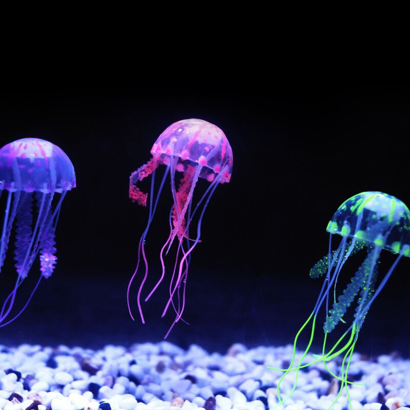 1 Piece Artificial jellyfish Fish tank decoration Aquarium Home decoration accessories Diy Colorful Artificial Glowing Effect
1 Piece Artificial jellyfish Fish tank decoration Aquarium Home decoration accessories Diy Colorful Artificial Glowing Effect