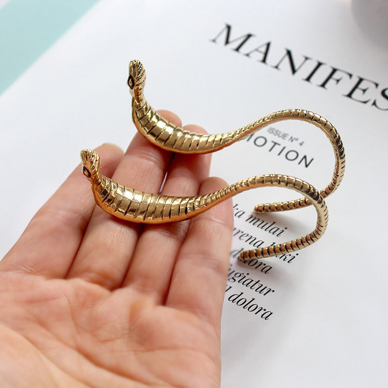 Stud Vintage Boho Long Snake Earrings Women Party Jewelry Punk Personality Exaggerated Gold Color Alloy Animal Earings E243
Stud Vintage Boho Long Snake Earrings Women Party Jewelry Punk Personality Exaggerated Gold Color Alloy Animal Earings E243