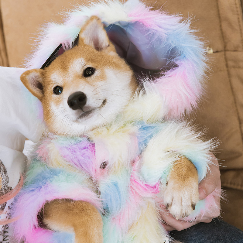 Dog Clothes Dog Jacket Coat Cute Cat Shirt Pet Clothing for Small Jackets Outfit Puppy Rainbow Fur Yorkshire ropa para perro
Dog Clothes Dog Jacket Coat Cute Cat Shirt Pet Clothing for Small Jackets Outfit Puppy Rainbow Fur Yorkshire ropa para perro