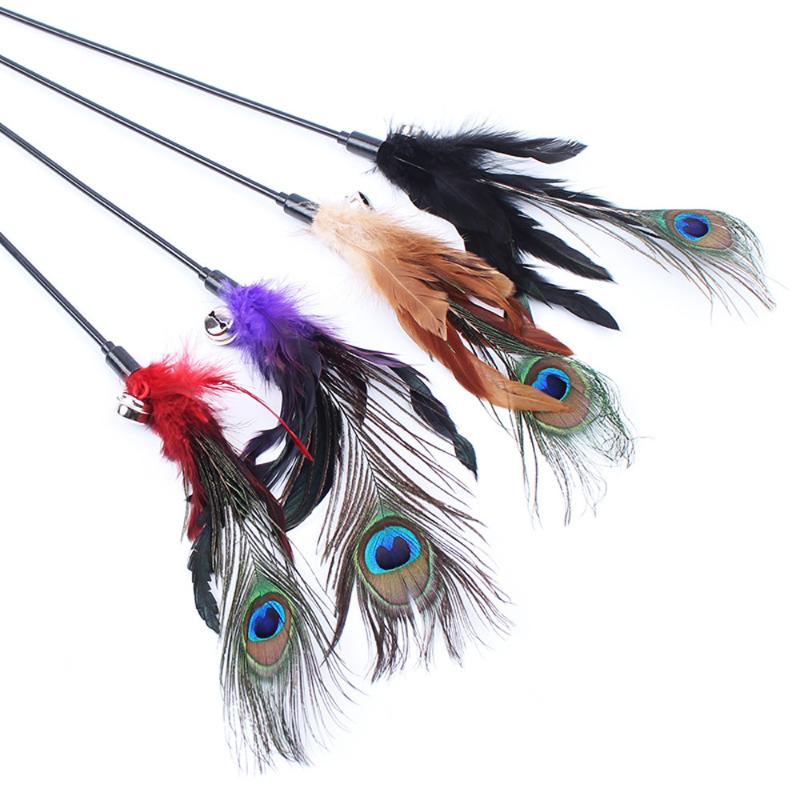 Pet Cat Toy Colorful Feather Rod Teaser Wand Kitten Pet Teaser Peacock Feather Interactive Fun Toy Wire Chaser Wand For Cat 
Pet Cat Toy Colorful Feather Rod Teaser Wand Kitten Pet Teaser Peacock Feather Interactive Fun Toy Wire Chaser Wand For Cat