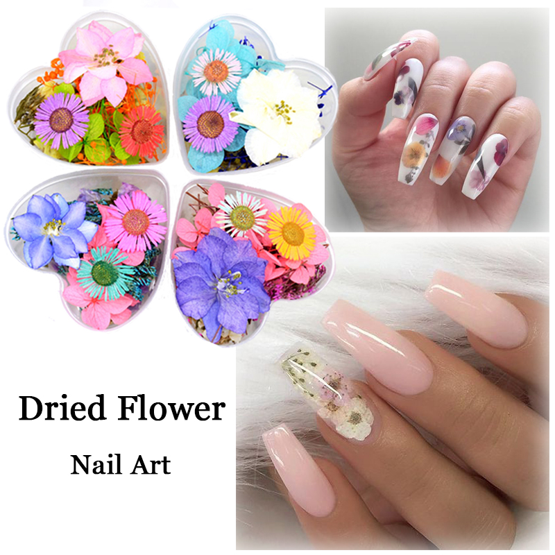 10Pcs/Bag Fasting Dried Flowers 3D Nail Art Decorations Colors Natural Flora UV Gel Polish Nail Design DIY Tool
10Pcs/Bag Fasting Dried Flowers 3D Nail Art Decorations Colors Natural Flora UV Gel Polish Nail Design DIY Tool