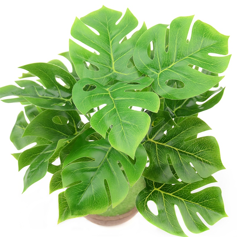 1Bunch Artificial Palm Monstera Green Plant Leaf Bouquet for Home Wedding Table Decorations Fake Bonsai Tree Leaves Accessories
1Bunch Artificial Palm Monstera Green Plant Leaf Bouquet for Home Wedding Table Decorations Fake Bonsai Tree Leaves Accessories
