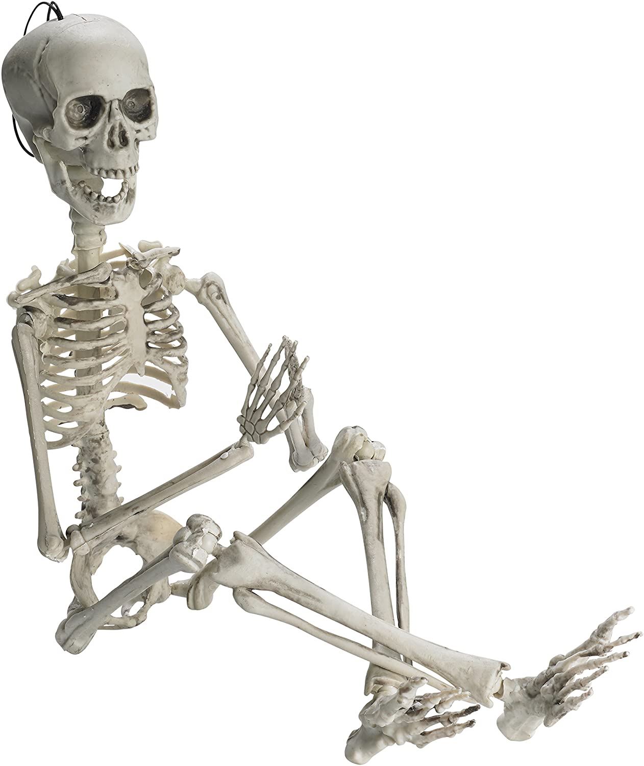 65inch Posable Halloween Skeleton- Full Body Halloween Skeleton with Movable /Posable Joints Body Accessories for Best Ha
65inch Posable Halloween Skeleton- Full Body Halloween Skeleton with Movable /Posable Joints Body Accessories for Best Ha