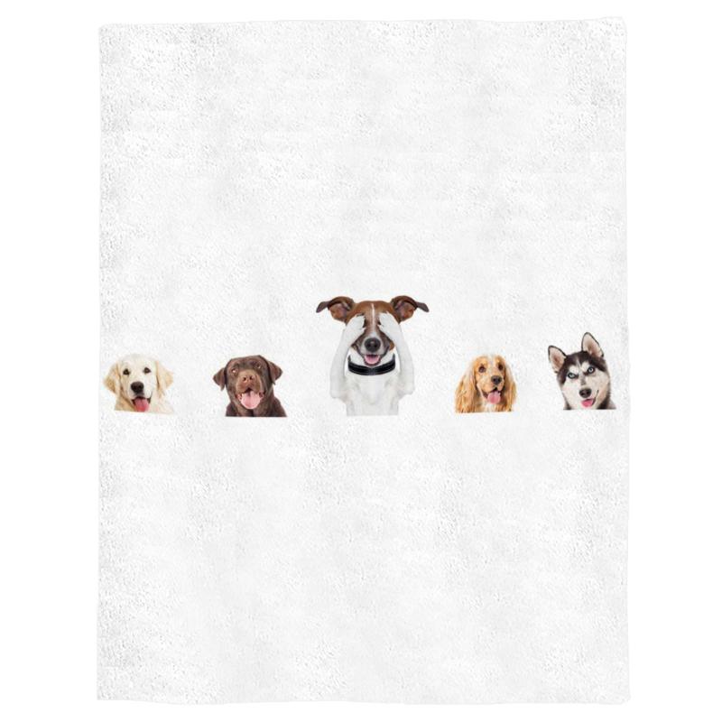 Five Adorable Pet Alaskan Huskies Spring and Autumn Soft Flannel Blanket Office Siesta Blanket Sofa Bed
Five Adorable Pet Alaskan Huskies Spring and Autumn Soft Flannel Blanket Office Siesta Blanket Sofa Bed