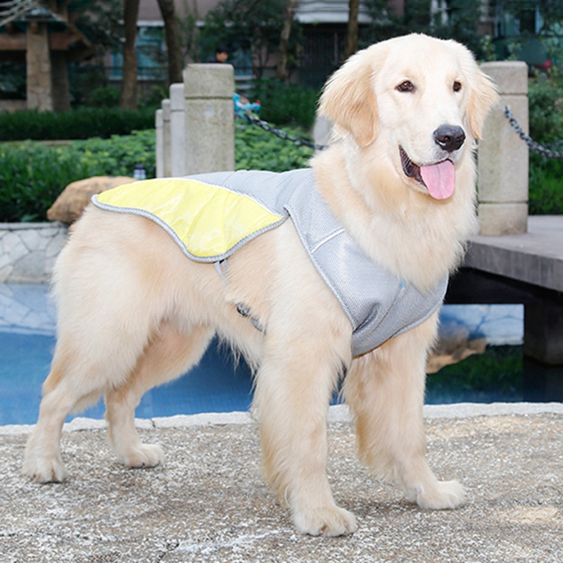 Summer Dog Cooling Vest Harness Cooler Jacket Adjustable Pet Mesh Reflective Vest Harnesses Quick Release Hot, Gray
Summer Dog Cooling Vest Harness Cooler Jacket Adjustable Pet Mesh Reflective Vest Harnesses Quick Release Hot, Gray