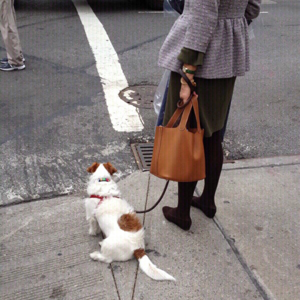 2021brand Fashion Luxury Carry Woman Lock Colorful Bag Basket Handbag Tide Designer Cowhide Bucket Picotin Head Layer Hand Pa Fekqi, Black trumpet
2021brand Fashion Luxury Carry Woman Lock Colorful Bag Basket Handbag Tide Designer Cowhide Bucket Picotin Head Layer Hand Pa Fekqi, Black trumpet