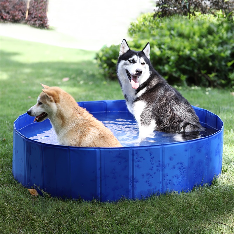 Foldable Dog Pool Pet Bath Swimming Tub Bathtub Outdoor Indoor Collapsible Bathing Pool for Dogs Cats Kids, Blue
Foldable Dog Pool Pet Bath Swimming Tub Bathtub Outdoor Indoor Collapsible Bathing Pool for Dogs Cats Kids, Blue