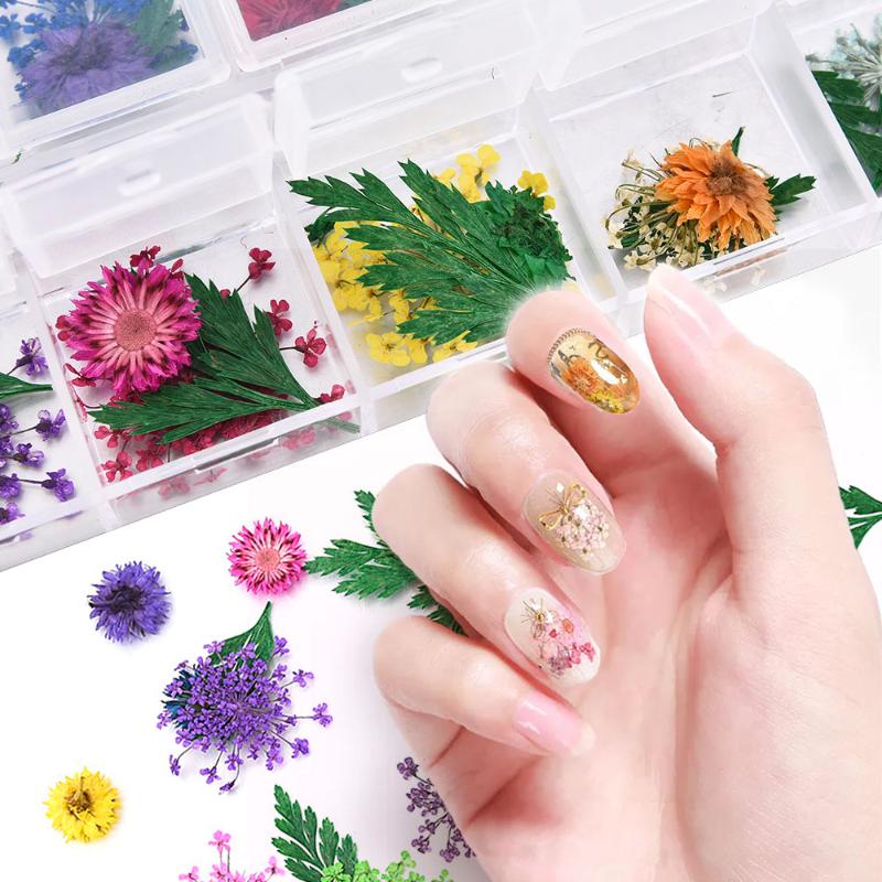 New 12 Colors Real Dried Flowers Natural Floral Sticker 3D Nail Art Decors DIY Tips Manicure Gypsophila Beauty Nail Art Decals
New 12 Colors Real Dried Flowers Natural Floral Sticker 3D Nail Art Decors DIY Tips Manicure Gypsophila Beauty Nail Art Decals