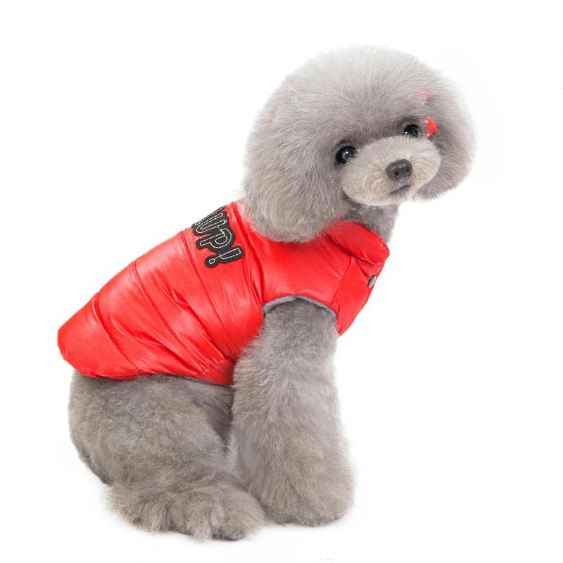 Pet Standing Collar Vest Dog Cat Winter Clothes Letter Cotton Coat Blue/Red Outfit Puppy Kitten Down Jacket Pet Supplies, Navy blue
Pet Standing Collar Vest Dog Cat Winter Clothes Letter Cotton Coat Blue/Red Outfit Puppy Kitten Down Jacket Pet Supplies, Navy blue