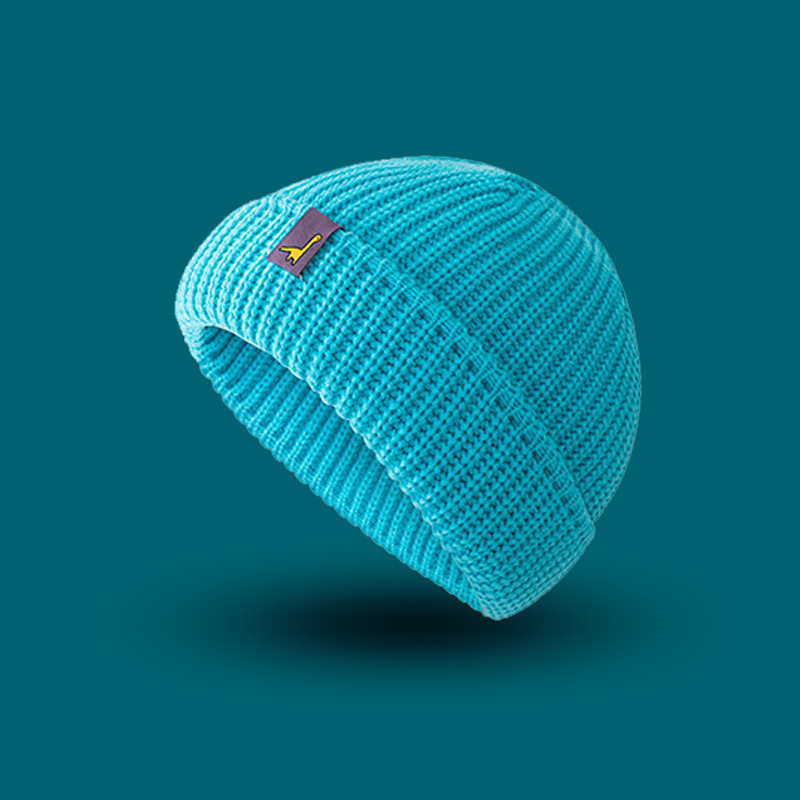 dinosaur Beanie Hat Ribbed Knitted Cuffed Winter Hat Warm Short Beanie Casual Solid Color Skullcap Baggy For Adult Men Beanie