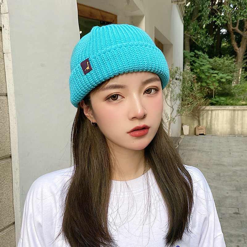 dinosaur Beanie Hat Ribbed Knitted Cuffed Winter Hat Warm Short Beanie Casual Solid Color Skullcap Baggy For Adult Men Beanie