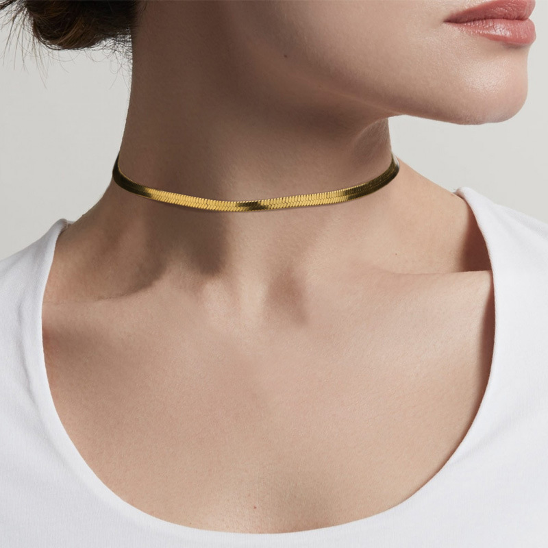 Stainless Steel Flat Blade Snake Chain Necklace for Women Collar Accessories Punk Choker Gold Clavicle Chain Minimalist Jewelry
Stainless Steel Flat Blade Snake Chain Necklace for Women Collar Accessories Punk Choker Gold Clavicle Chain Minimalist Jewelry