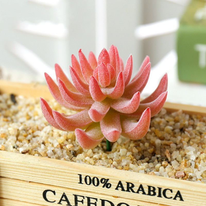 1PC Mini Bonsai Flocked Artificial Succulents Bonsai Plants Home Garden Wedding Living Room Decoration Fake Plants Office Decor, Baizilian green
1PC Mini Bonsai Flocked Artificial Succulents Bonsai Plants Home Garden Wedding Living Room Decoration Fake Plants Office Decor, Baizilian green