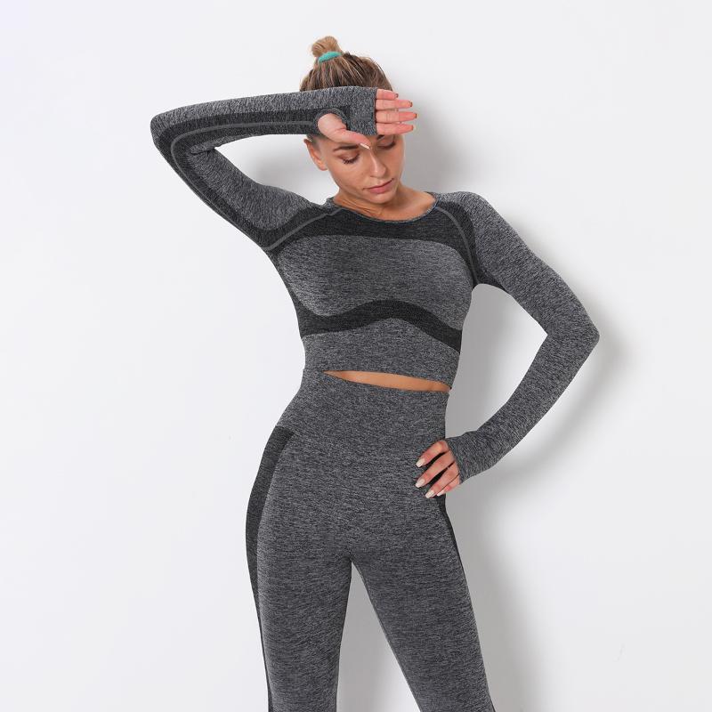 Crop Top Seamless Long Sleeve Yoga Top Sport Fitness Women Gym Sport Shirt Women Workout Tops For Yoga Shirt, Z200201
Crop Top Seamless Long Sleeve Yoga Top Sport Fitness Women Gym Sport Shirt Women Workout Tops For Yoga Shirt, Z200201