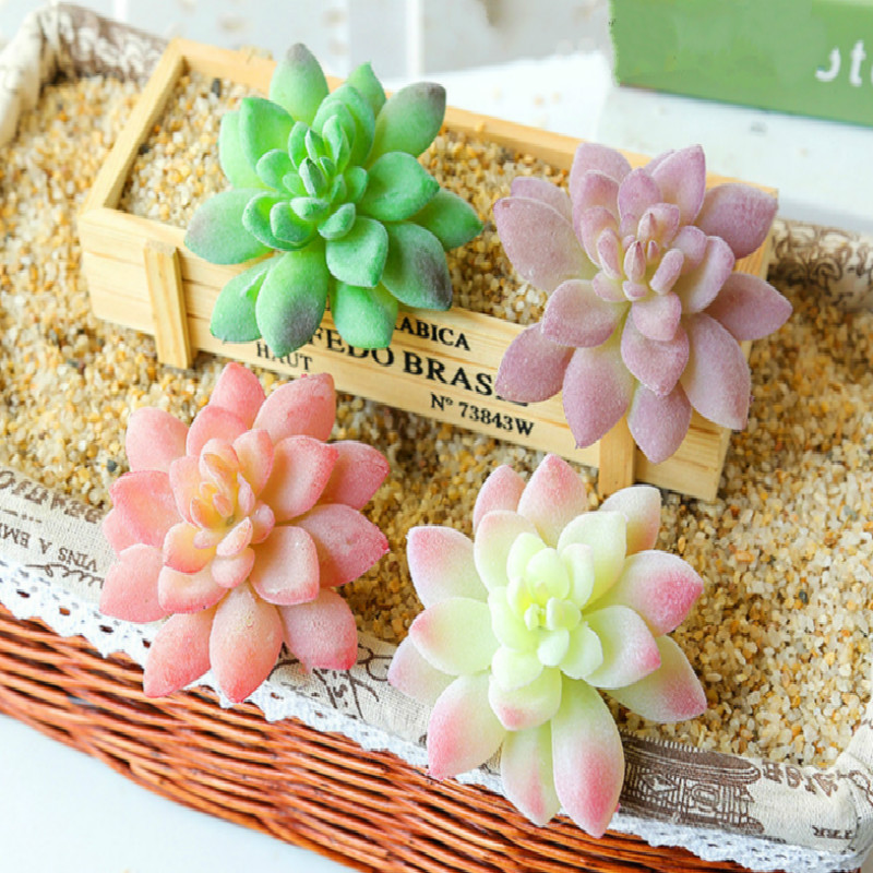 Artificial Succulents Plants Grass Desert Artificial Plant Landscape Ornament Home Office Party Garden Decor Indoor Fake Plants, Shifenglian zr red
Artificial Succulents Plants Grass Desert Artificial Plant Landscape Ornament Home Office Party Garden Decor Indoor Fake Plants, Shifenglian zr red
