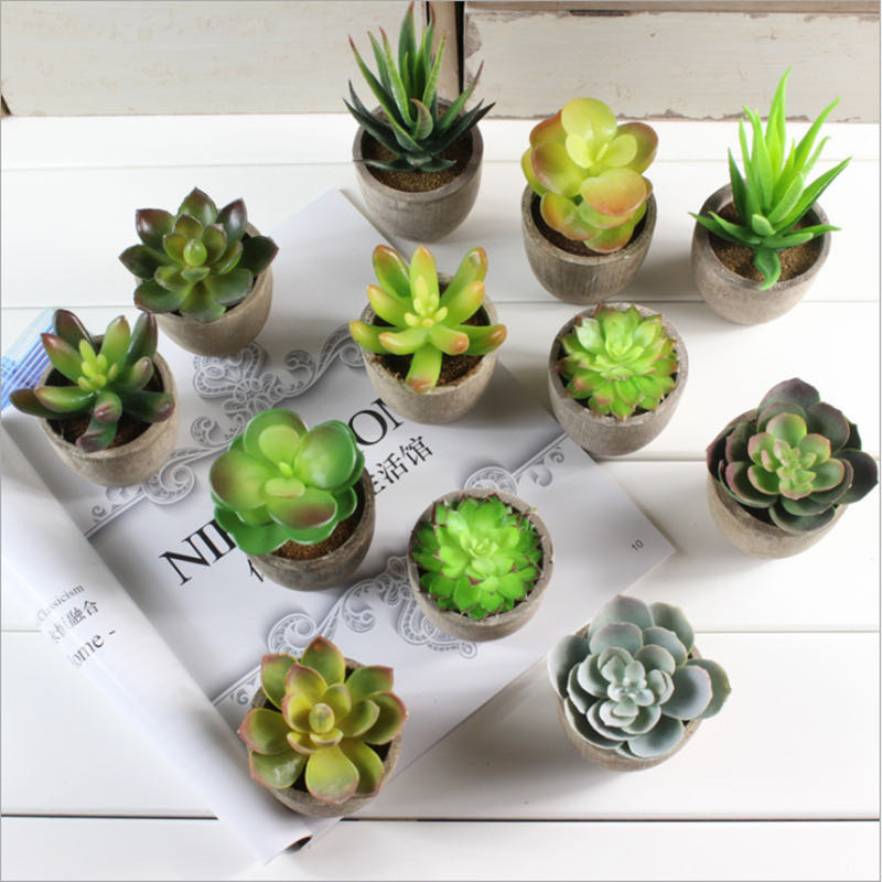 Simulation succulent plant pot creative simulation flower fake Flower pot manufacturers wholesale, 031
Simulation succulent plant pot creative simulation flower fake Flower pot manufacturers wholesale, 031