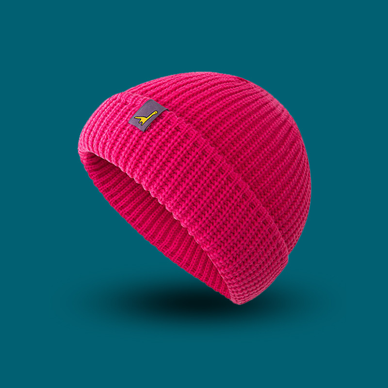 dinosaur Beanie Hat Ribbed Knitted Cuffed Winter Hat Warm Short Beanie Casual Solid Color Skullcap Baggy For Adult Men Beanie