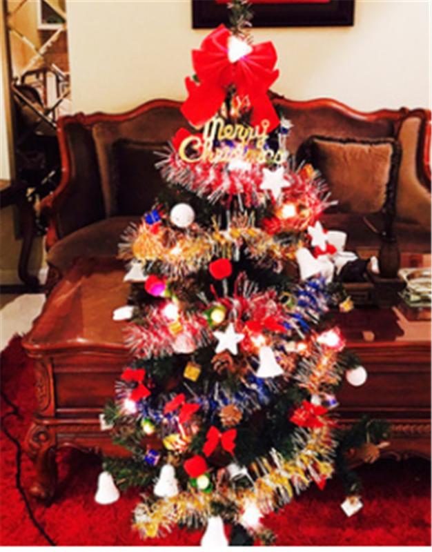 Simulation Pine Needle Christmas Tree With 76pcs Mini Decorative XMAS Dress Up Supplies PVC Material Christmas Ornament Tree
Simulation Pine Needle Christmas Tree With 76pcs Mini Decorative XMAS Dress Up Supplies PVC Material Christmas Ornament Tree
