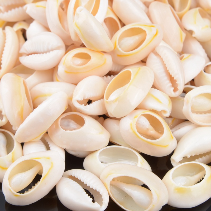 50pcs Natural Sea Shell Loose Beads Home Decoration DIY Craft Conch Shell Pendant Jewelry Accessories20-23 mm /16-18 mm
50pcs Natural Sea Shell Loose Beads Home Decoration DIY Craft Conch Shell Pendant Jewelry Accessories20-23 mm /16-18 mm