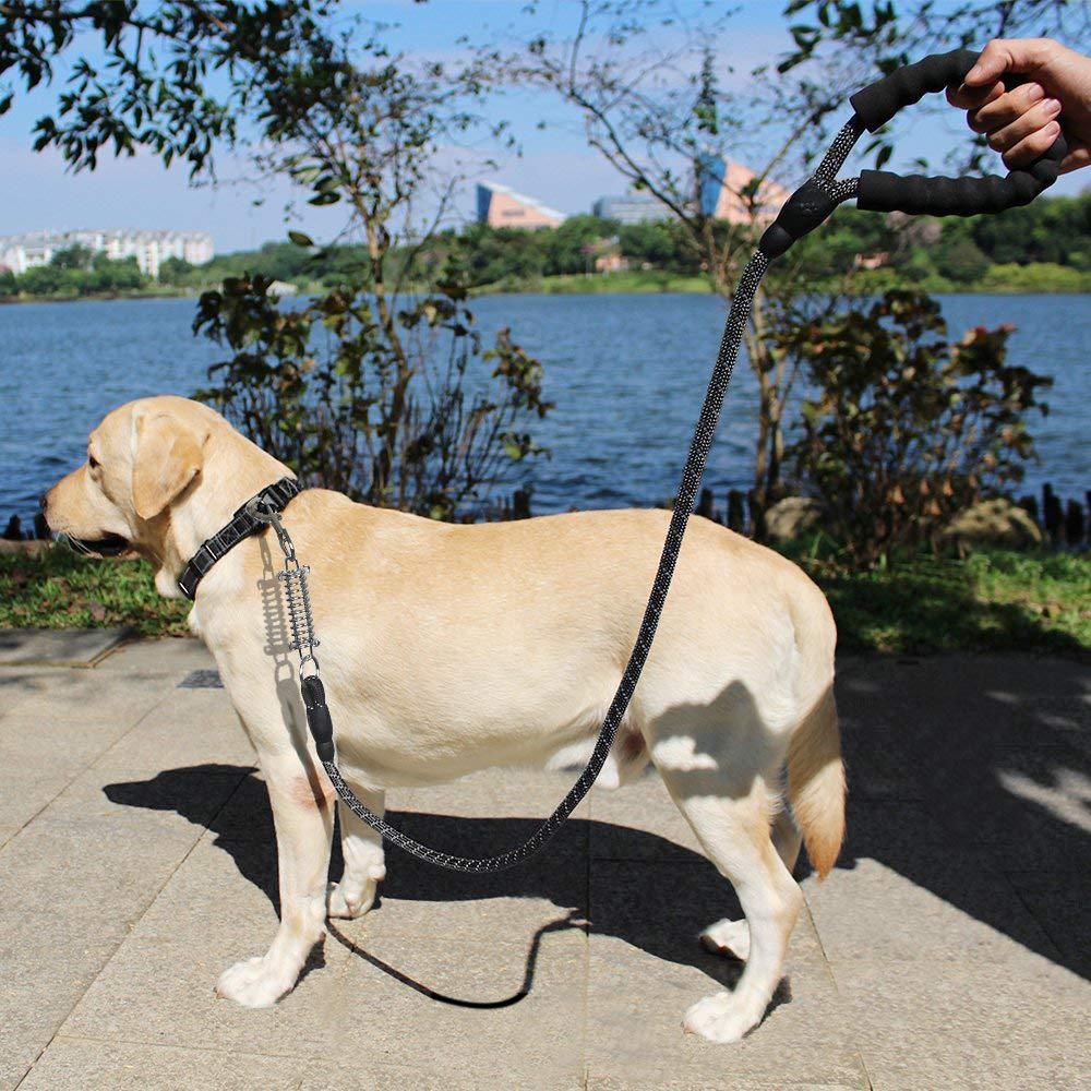 Pet Supplies Dog Hand Holding Rope Multi-Color Cushioning round Rope Dog Chain Dog Traction Rope Comfortable Handle Reflective Traction
Pet Supplies Dog Hand Holding Rope Multi-Color Cushioning round Rope Dog Chain Dog Traction Rope Comfortable Handle Reflective Traction