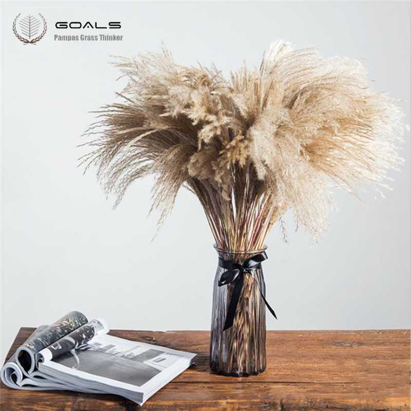 Pampas grass christmas decor real pampas grass 20 pcs reed natural dried plant ornaments wedding decor flower bunch, 20pcs color
Pampas grass christmas decor real pampas grass 20 pcs reed natural dried plant ornaments wedding decor flower bunch, 20pcs color