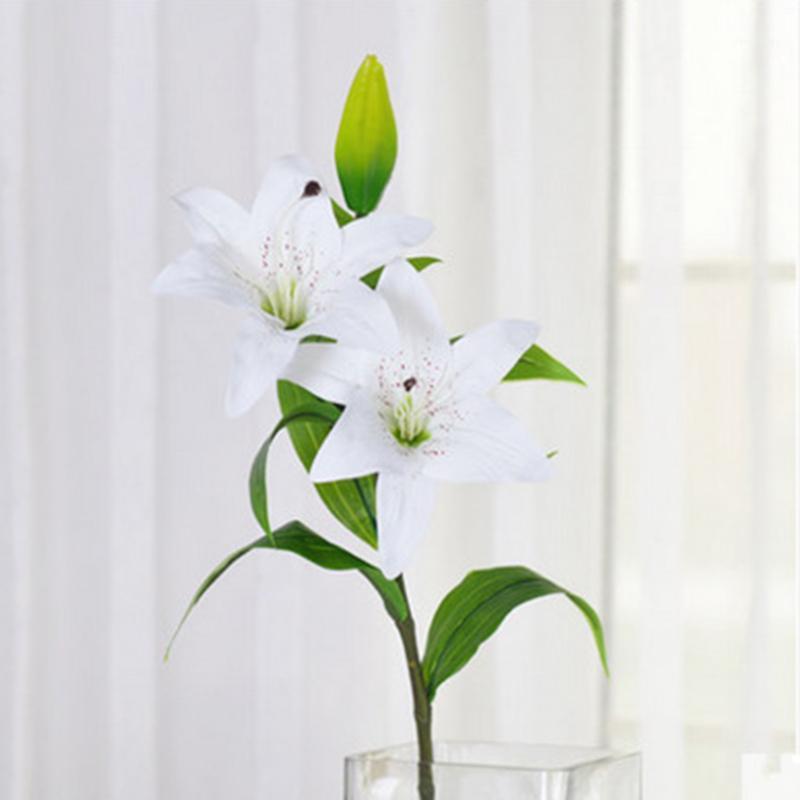 Vivid Artificial Plastic Simulation Long Lily Flower With Bud 75cm Home Office Decor1, Dark pink
Vivid Artificial Plastic Simulation Long Lily Flower With Bud 75cm Home Office Decor1, Dark pink
