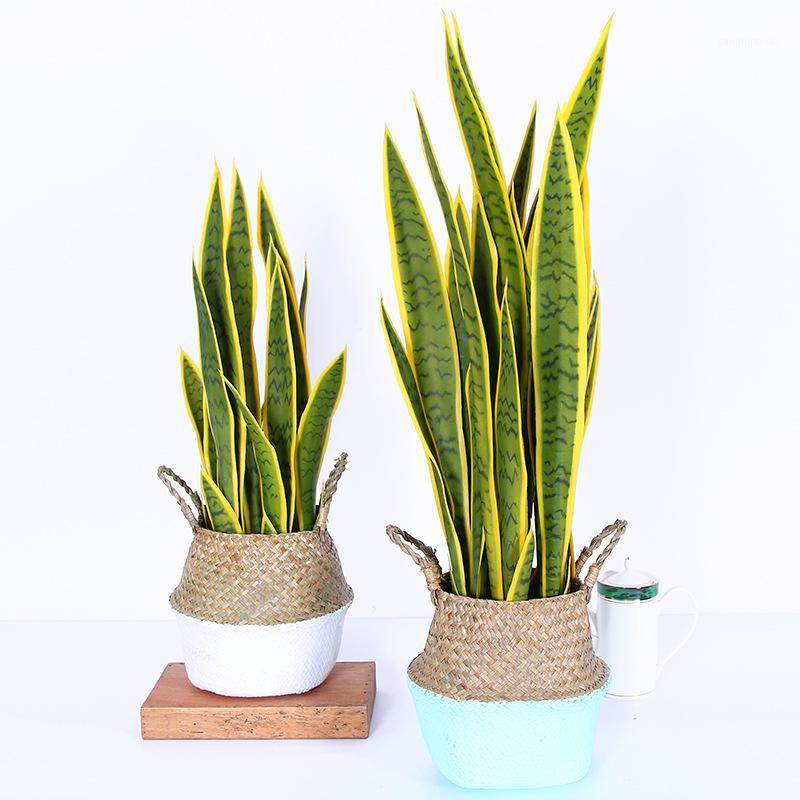 70cm flower+vase Sansevieria trifasciata bonsai tropical plant high quality hand feeling green succulents gift home decoration1, 1 set
70cm flower+vase Sansevieria trifasciata bonsai tropical plant high quality hand feeling green succulents gift home decoration1, 1 set