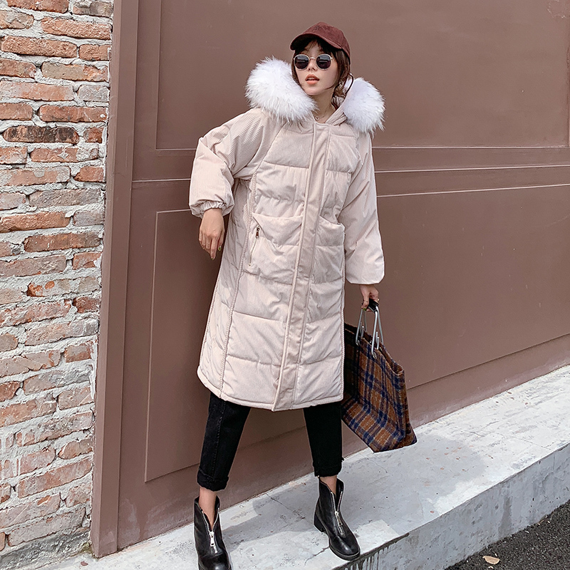 New hot fashion jacket female han edition brief paragraph easing students cotton-padded clothes take 201019