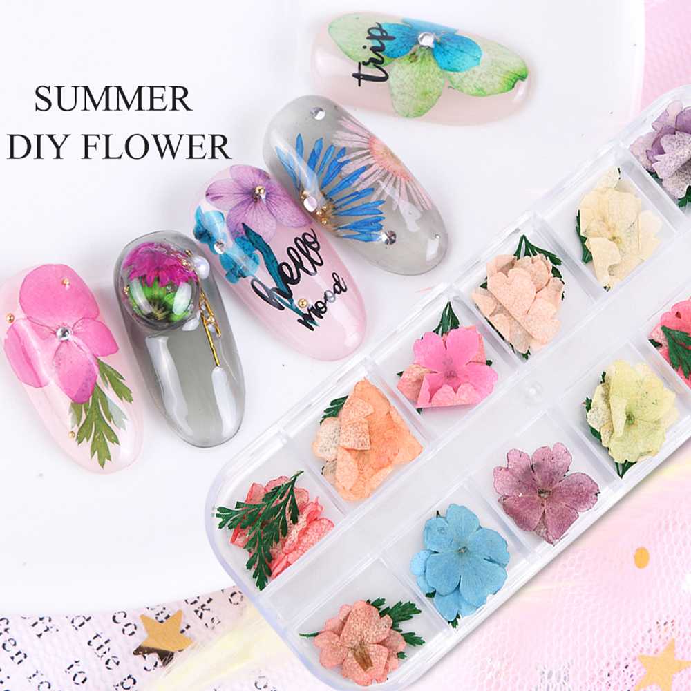 3D 12 Grids Natural Real Dry Gypsophila Daisy Flower for UV Gel Acrylic Nail Art DIY Tips Decoration Nail Accesoires Designs
3D 12 Grids Natural Real Dry Gypsophila Daisy Flower for UV Gel Acrylic Nail Art DIY Tips Decoration Nail Accesoires Designs