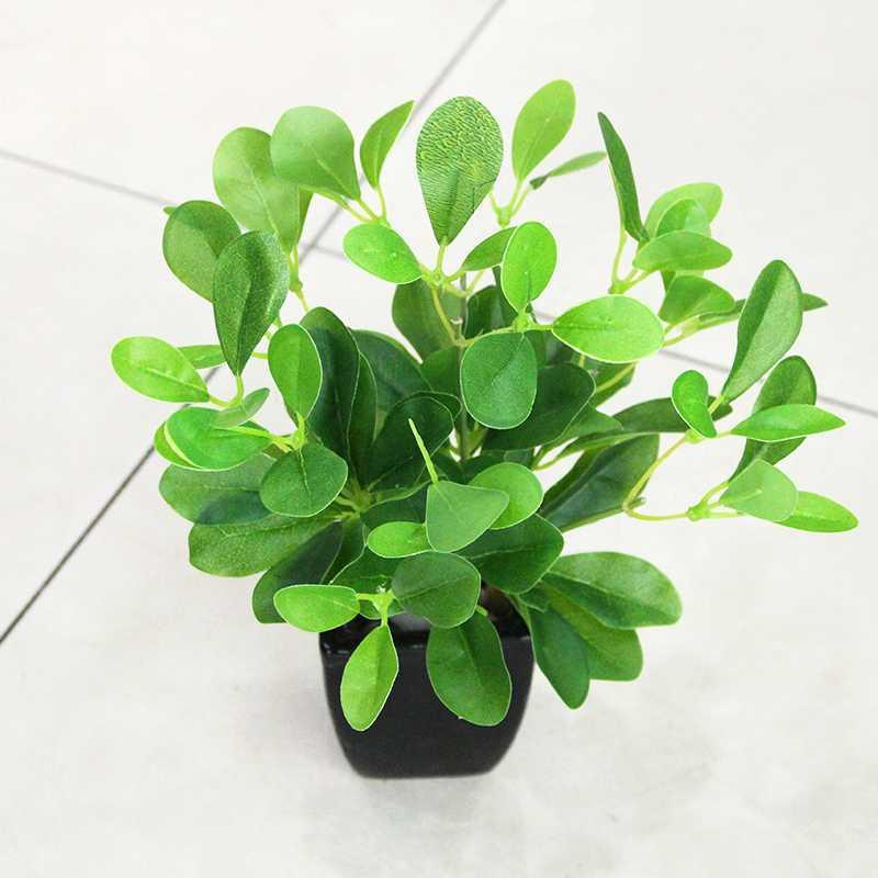 Legume plant Milan legume artificial decoration family garden Christmas plant green wall grass leaf coin leaf eucalyptus1
Legume plant Milan legume artificial decoration family garden Christmas plant green wall grass leaf coin leaf eucalyptus1