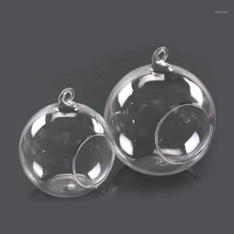 Transparent Glass Vase Hydroponic Flower Vase Hanging Round Glass Vases Fish Tank Fishbowl Home Decorative Accessories1
Transparent Glass Vase Hydroponic Flower Vase Hanging Round Glass Vases Fish Tank Fishbowl Home Decorative Accessories1