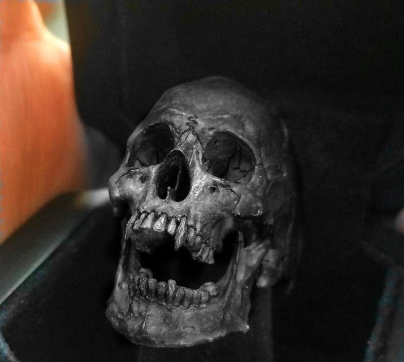 Punk Jewelry Evil Skull Men's Ring Party Charm Men's Accessories Popular Motorcycle Ring Fashion New
Punk Jewelry Evil Skull Men's Ring Party Charm Men's Accessories Popular Motorcycle Ring Fashion New
