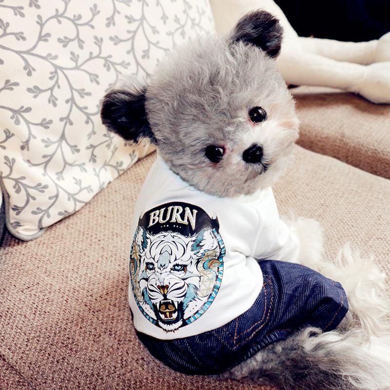 Printed Chihuahua Summer Cool Cotton Jumpsuit Pet Dog Clothes for Small Dogs 4 Leg Clothing Yorkshire Pomeranian Costume -XL, Lucky charm
Printed Chihuahua Summer Cool Cotton Jumpsuit Pet Dog Clothes for Small Dogs 4 Leg Clothing Yorkshire Pomeranian Costume -XL, Lucky charm