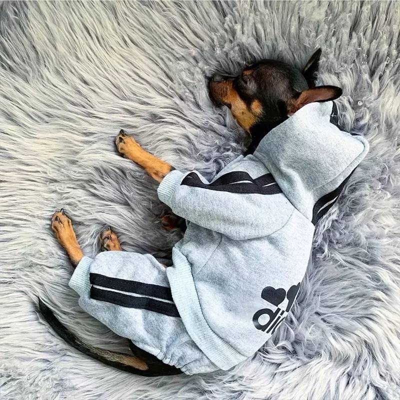 free shipping Designer Pet Clothes Chihuahua French Bulldog Winter Warm Apparel Four Legs Dog et Coat Puppy Clothing for Small dogs Outfit Pink S A232