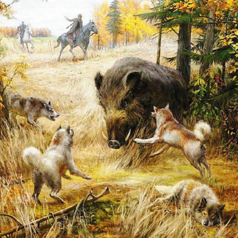 DIY Diamond Painting Cross Stitch Wild boar and wolf 3D Square round Rhinestones hunt Pictures Diamond Embroidery Mosaic Crafts
DIY Diamond Painting Cross Stitch Wild boar and wolf 3D Square round Rhinestones hunt Pictures Diamond Embroidery Mosaic Crafts