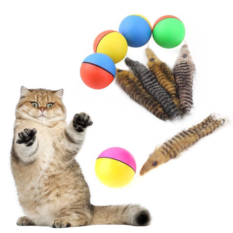 Cat Toys Ball Toy 1Pcs Beaver Weasel Rolling Motor Pet Products for Cat Dog Kids Jumping Fun Moving Chaser
Cat Toys Ball Toy 1Pcs Beaver Weasel Rolling Motor Pet Products for Cat Dog Kids Jumping Fun Moving Chaser