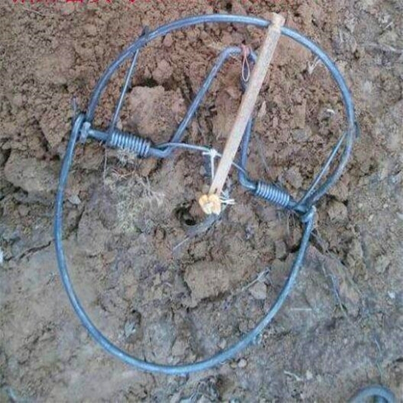 Strong Power Diameter 200mm Bird/ Pigeon/ and Quail/ Pheasant/ Head Hold Hunt Trap for Hunting Free Shipping 201116
Strong Power Diameter 200mm Bird/ Pigeon/ and Quail/ Pheasant/ Head Hold Hunt Trap for Hunting Free Shipping 201116
