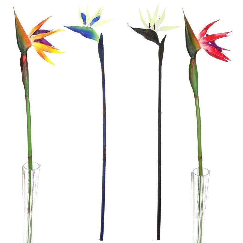 1PCs PU Fake Strelitzia Flowers Bird Of Paradise Artificial Plant 55CM Simulation Flower Wedding Home Decoration Multicolor Vase, Starry
1PCs PU Fake Strelitzia Flowers Bird Of Paradise Artificial Plant 55CM Simulation Flower Wedding Home Decoration Multicolor Vase, Starry