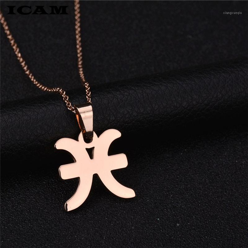 Pendant Necklaces ICAM Rose Gold Stainless Steel Fashion Jewelry 12 Constellation Zodiac Necklace For Women, Silver
Pendant Necklaces ICAM Rose Gold Stainless Steel Fashion Jewelry 12 Constellation Zodiac Necklace For Women, Silver