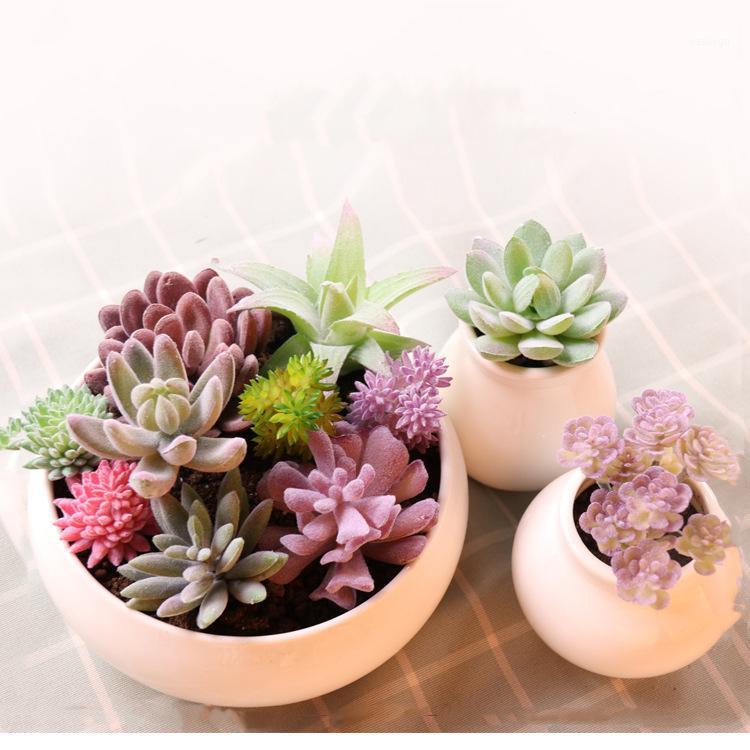 Christmas Home Garden Decoration Green Purple Pink Artificial Succulents Plants Bathroom Office Desktop Mini Bonsai Fake Plants1, Fp ji wa lian
Christmas Home Garden Decoration Green Purple Pink Artificial Succulents Plants Bathroom Office Desktop Mini Bonsai Fake Plants1, Fp ji wa lian