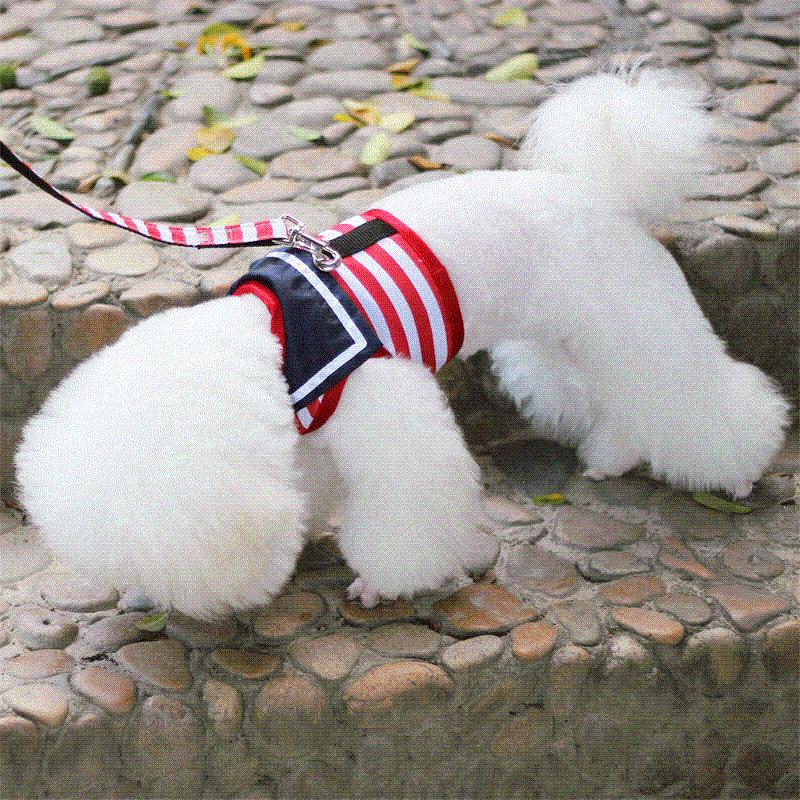 Dog Leash Pet Chest Harness Traction Rope Dog Chain Small Puppy Collar Dogs Cats Rope Collar Leash Pets Accessories
Dog Leash Pet Chest Harness Traction Rope Dog Chain Small Puppy Collar Dogs Cats Rope Collar Leash Pets Accessories